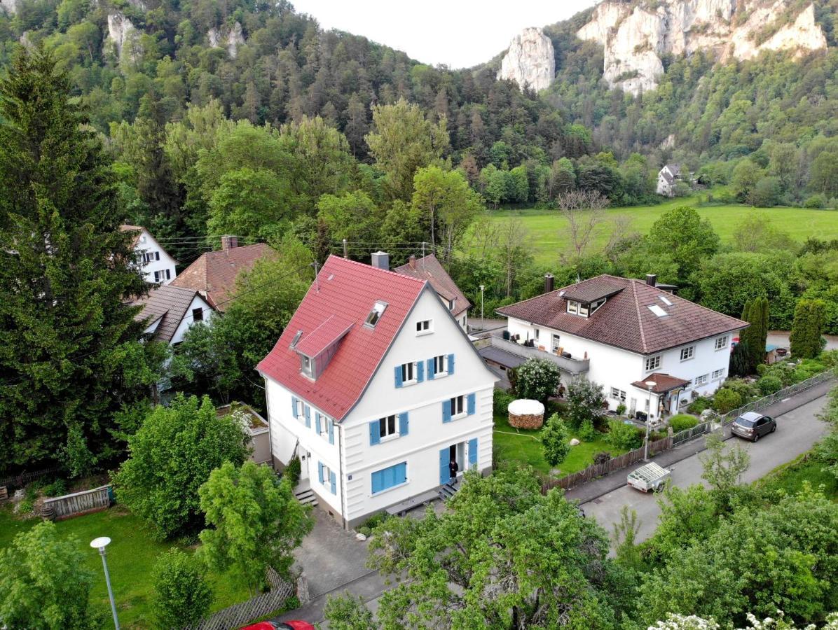 Ferienwohnung Zwergdackeladlerhirsch Beuron Exterior foto
